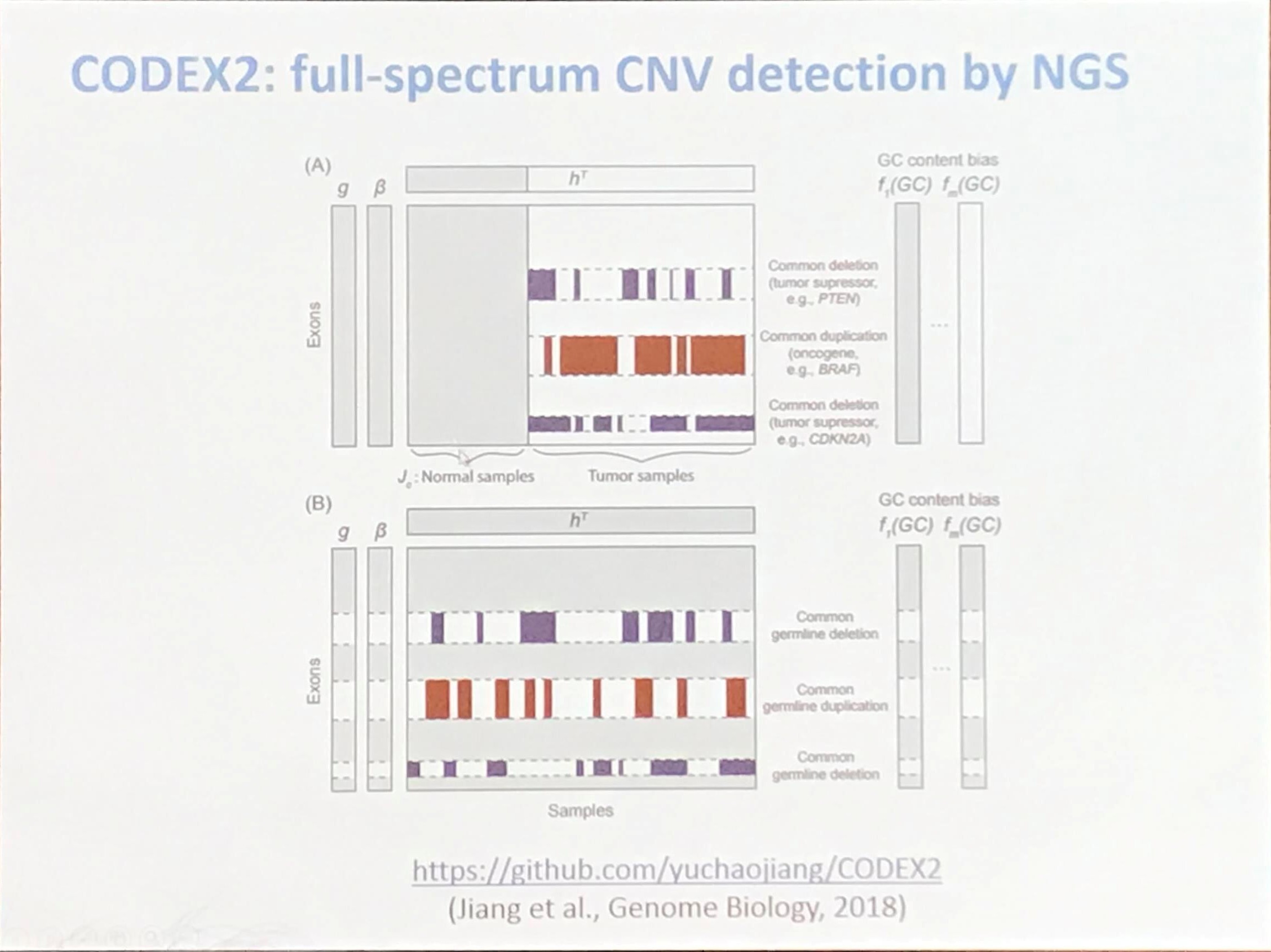 DNA copy number profiling: from bulk tissue to single cells