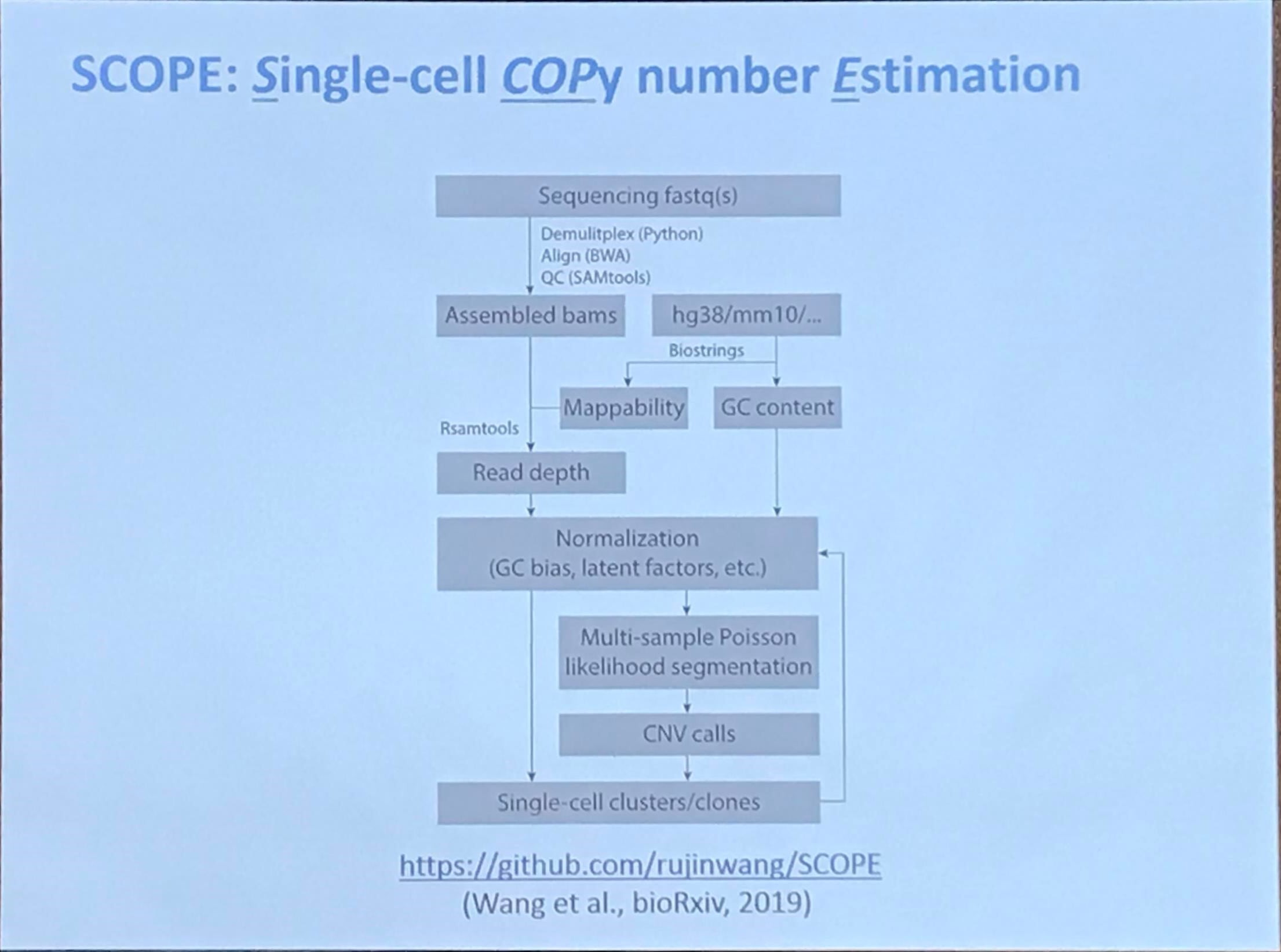 DNA copy number profiling: from bulk tissue to single cells